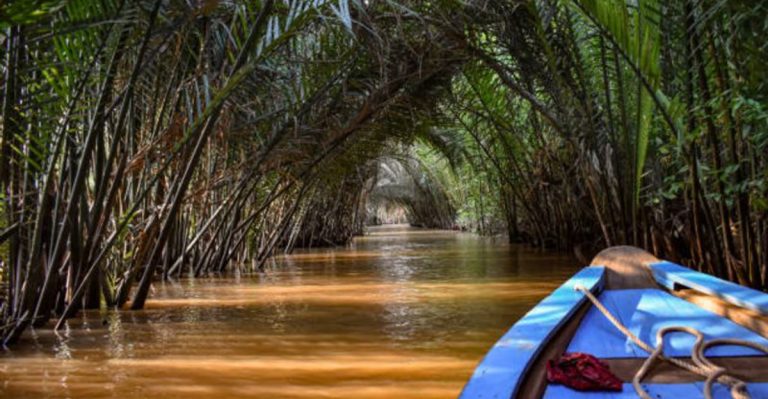 The Secret Mangrove Tunnel In Florida Few Tourists Have Seen