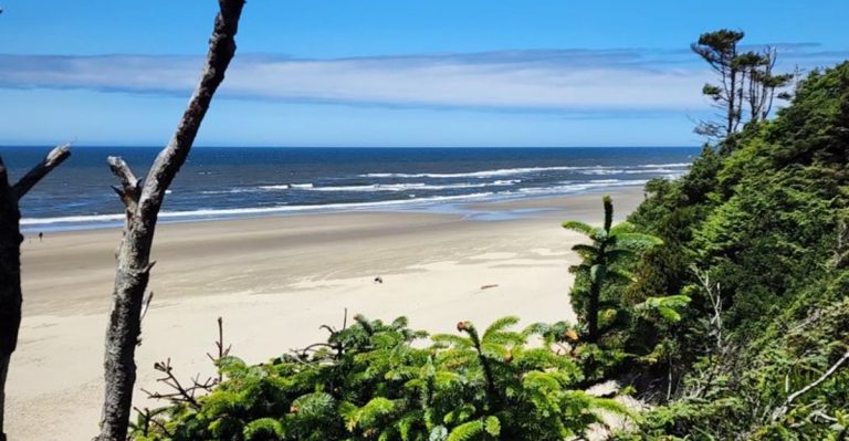 The Secret Oregon Beach Trail That Leads To Views Most Tourists Never See