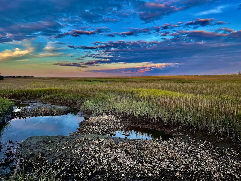 Wildlife That Will Stop You Cold