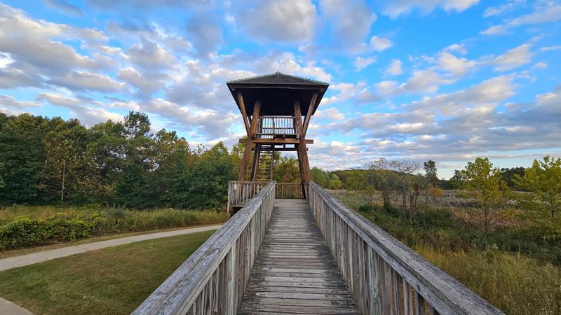 The Separate Trail and Tower Follow Different Rules