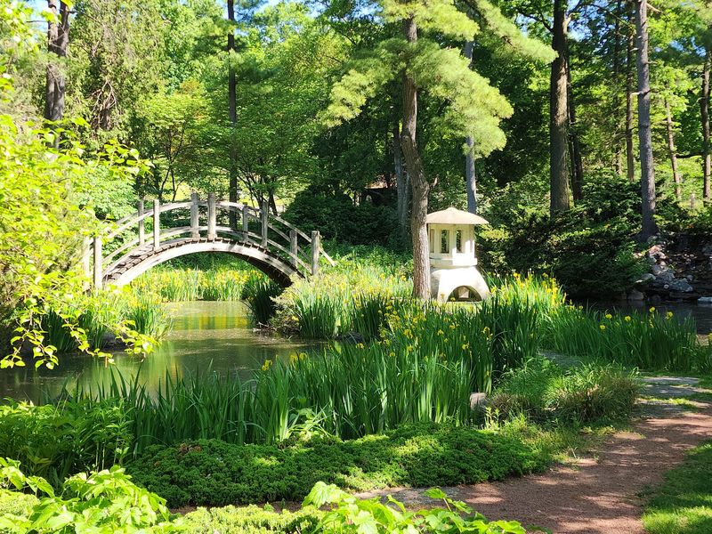 The Serene Japanese Garden
