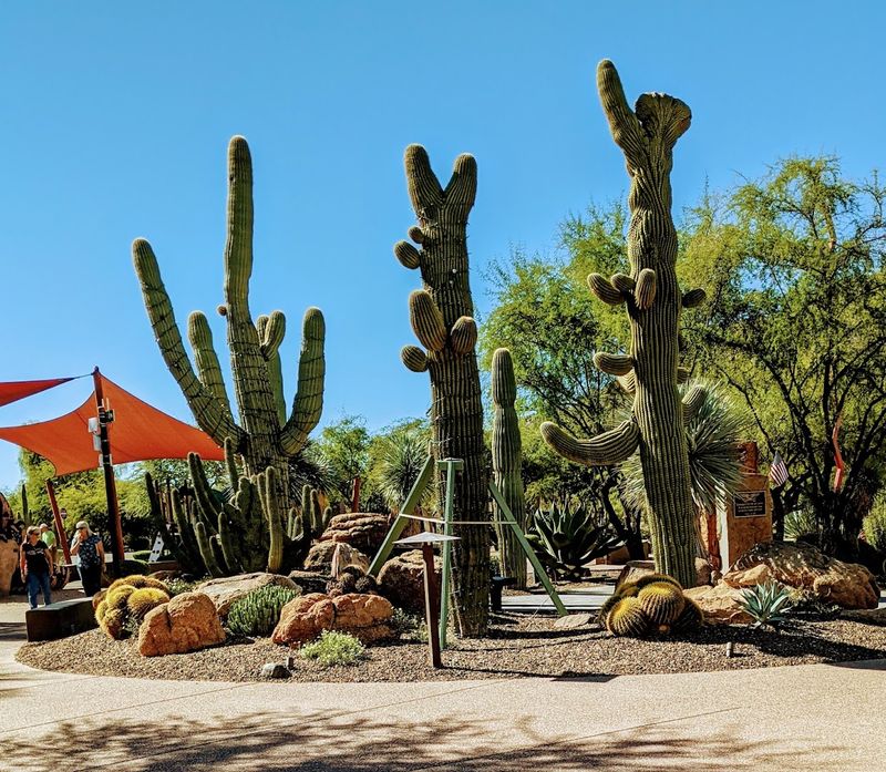 The Setting And Story Of Carefree Desert Gardens The Setting And Story Of Carefree Desert Gardens