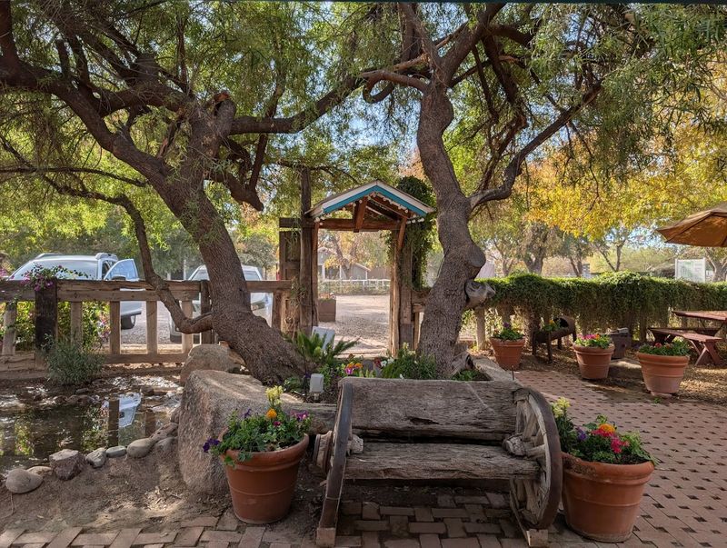 The Setting: Pecan Trees, Ducks, And Pure Charm