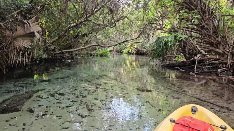 The Seven-Mile Kayak Run