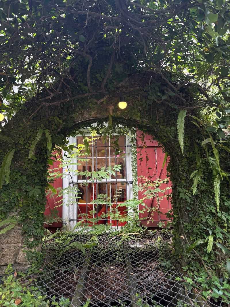The Shady Canopy And Its Practical Benefits