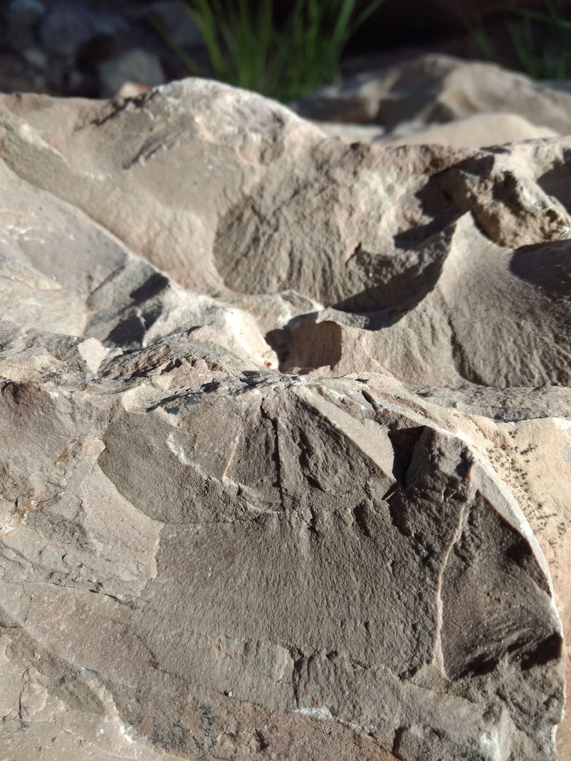 The Shallow Sea That Once Covered Arizona