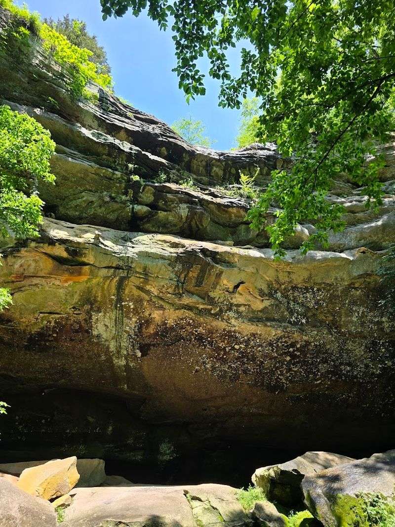The Shawnee National Forest Connection