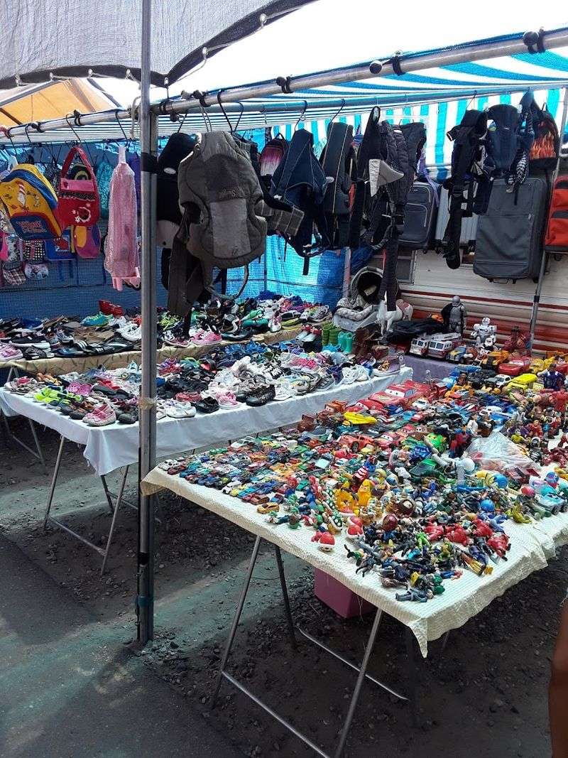 When To Go And What You Need To Know Before Arriving