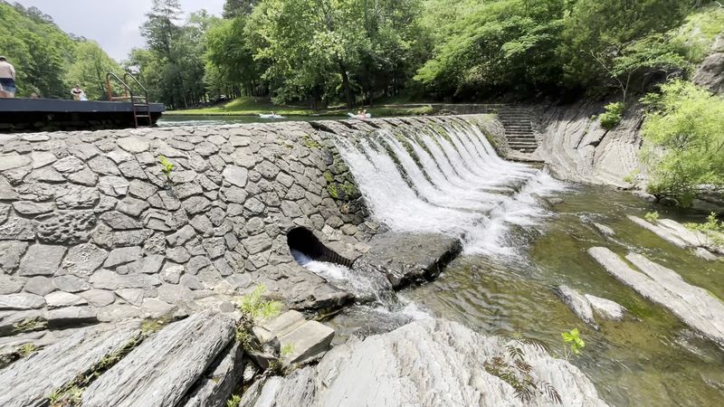A Natural Pool Unlike Anything You Expect