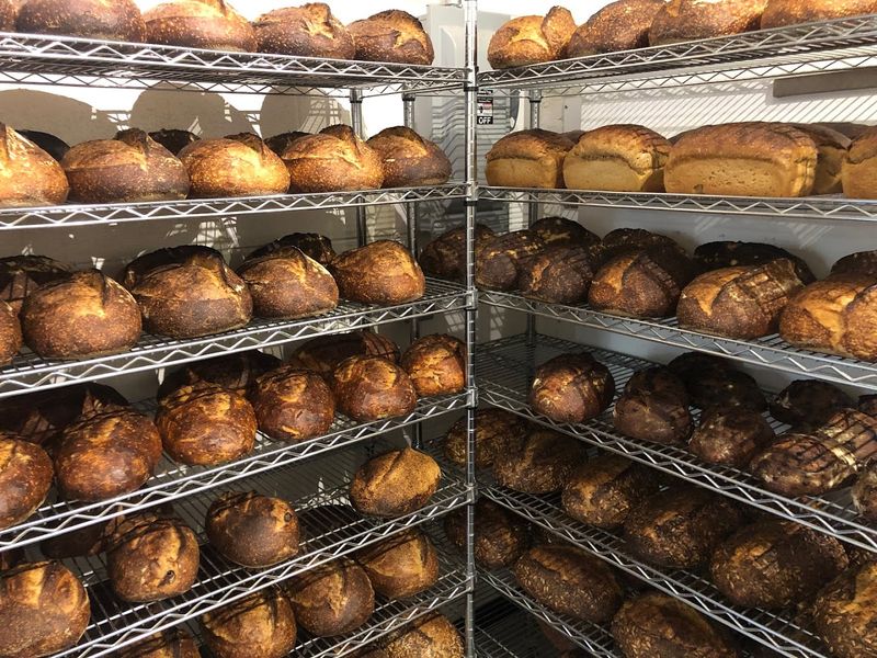 The Hours Reward Early Risers And Weekday Visitors