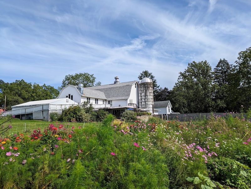 The Shops At Jones Farm