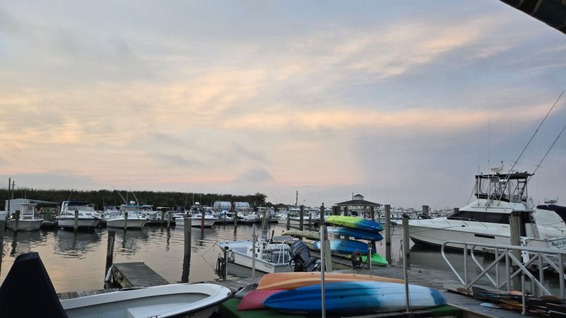 Inside, Where Sand And Appetite Coexist