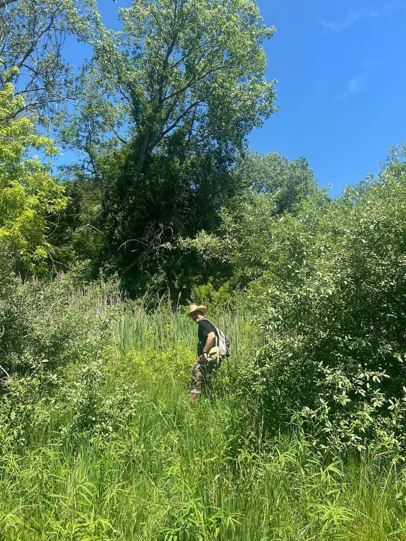 Overgrown Trails Demand Preparation