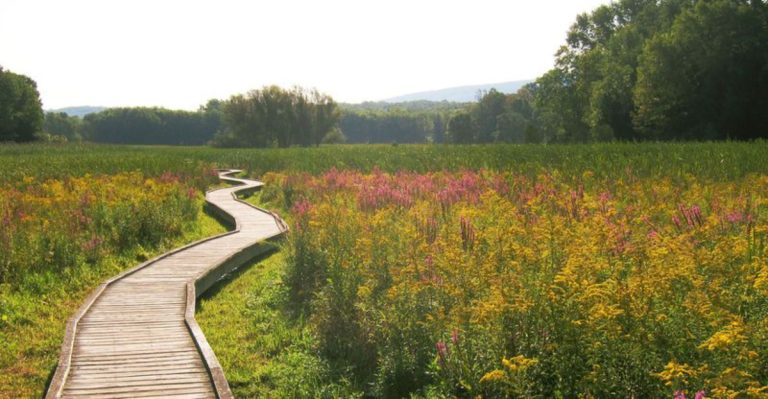 The Short And Easy Hike In New Jersey That’s Almost Too Beautiful To Be Real
