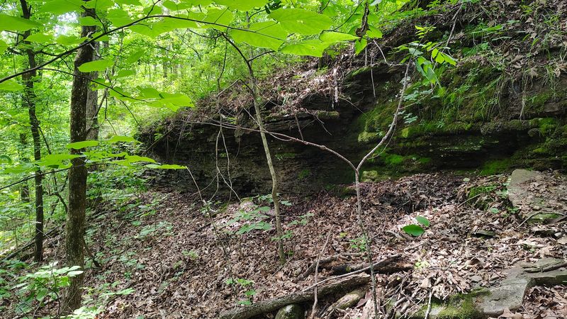 Scenic Views Along The Way