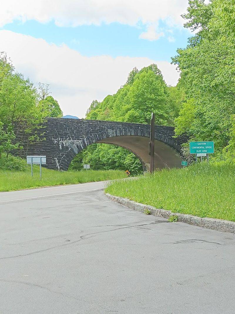 When To Drive For Peak Tree Tunnel Drama