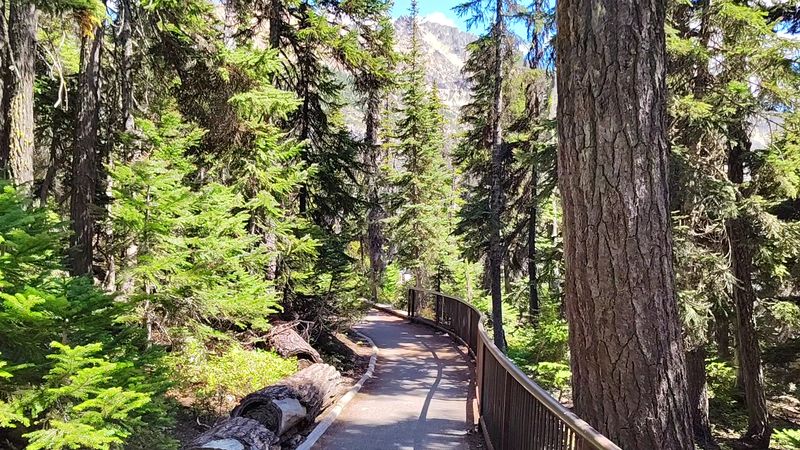 The Short Paved Walk That Anyone Can Manage The Short Paved Walk That Anyone Can Manage