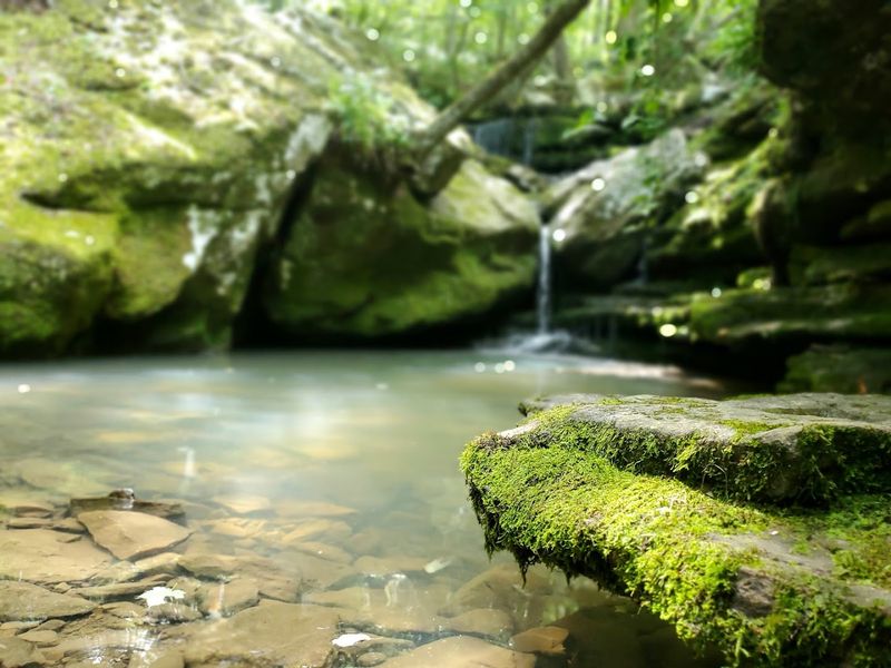 Gentle Terrain Leading To Crystal Clear Waters
