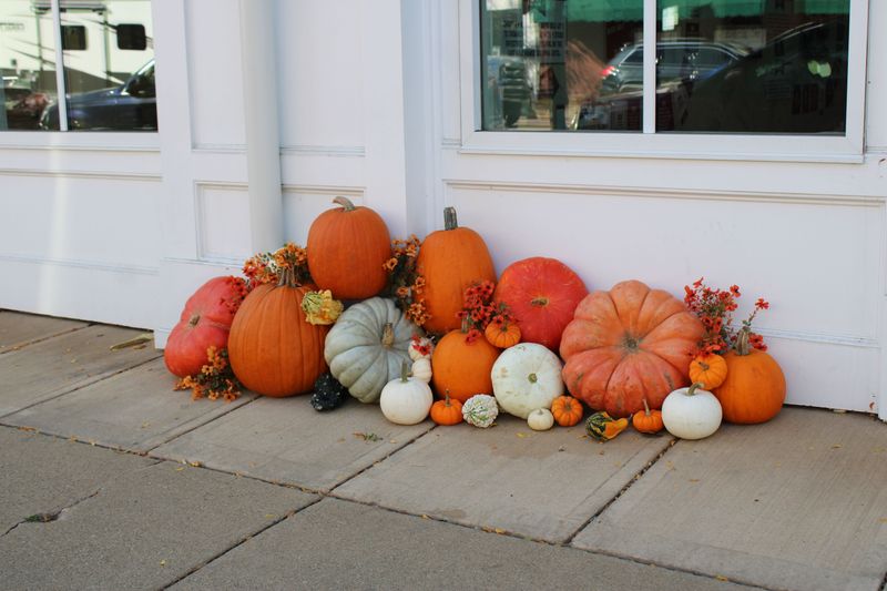 The Sidewalks Have Their Own Gallery