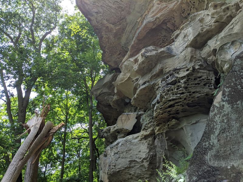 The Significance Of Cross Creek And Its Natural Setting
