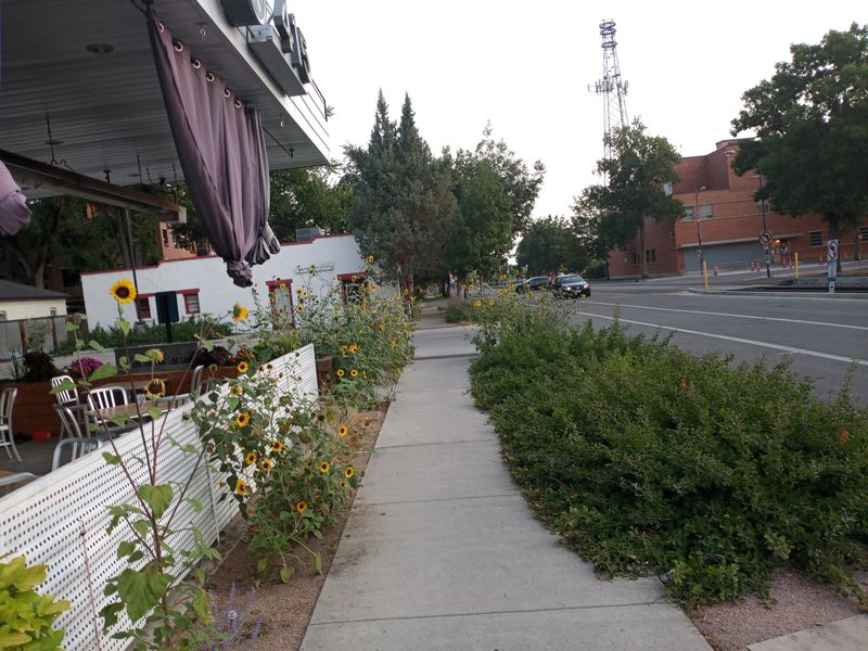 Arrival, Colorado Quiet