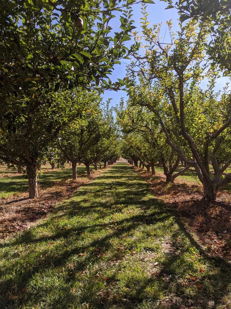 Arrival In Grand Junction