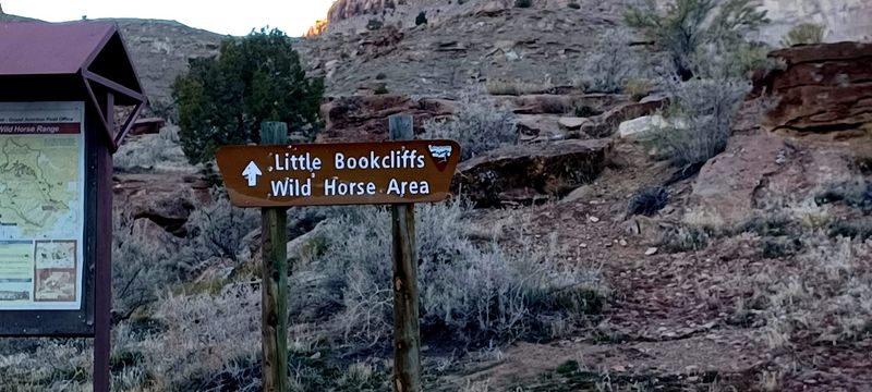 Start Gate Sense Check