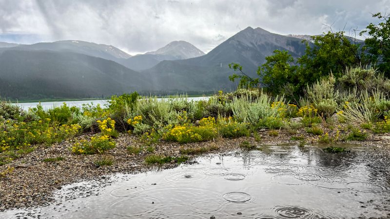 First Glimpse, Colorado True