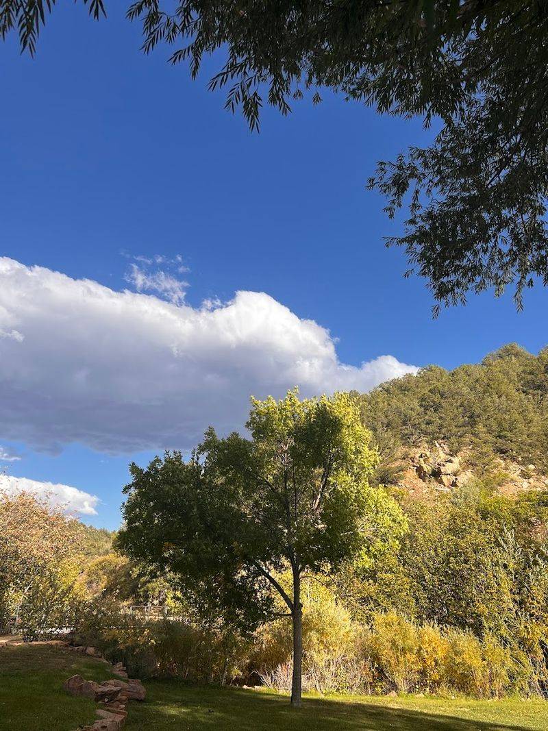 Arriving Along Texas Creek