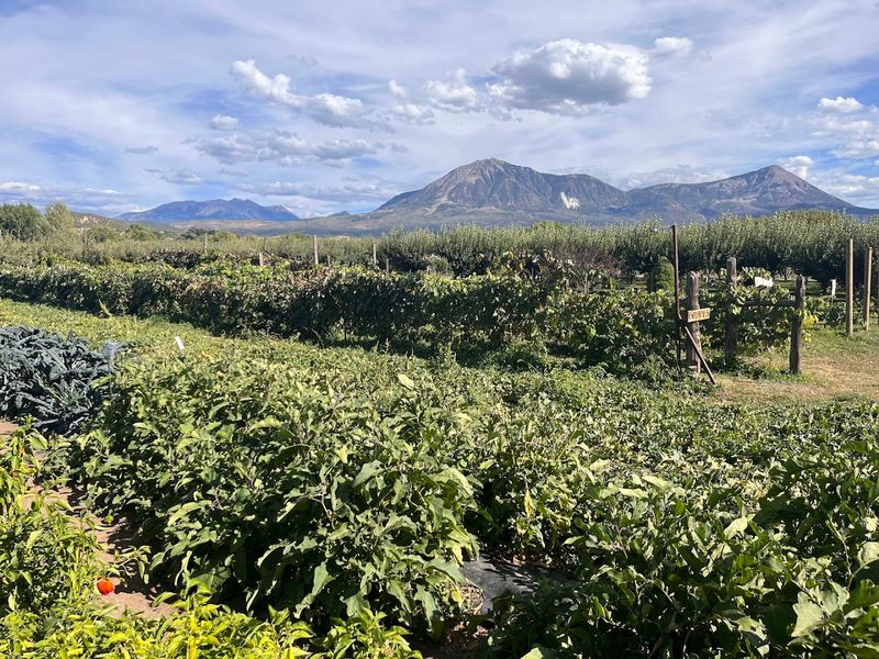 Arriving In The North Fork Valley