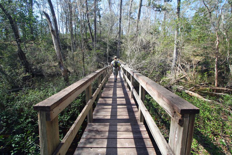 Gum Swamp Trail: The Wet And Wild Alternative Route