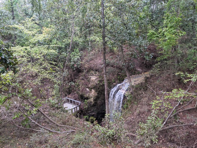 The Hiking Trails: Three Miles Of Natural Beauty