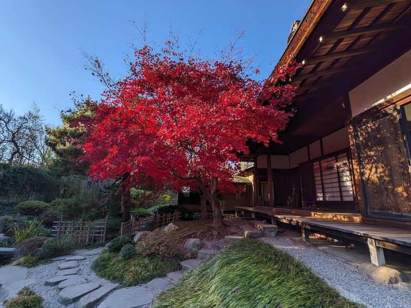 A Traditional Teahouse Sits Behind The Main Structure