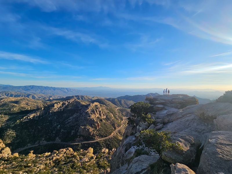 The Sky Island Drive Up Catalina Highway