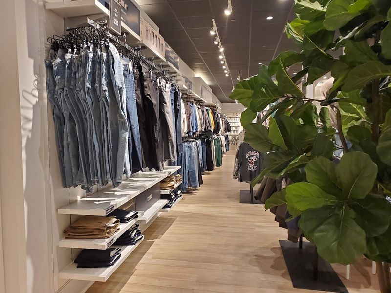 The Clothing Collection That Surprised Me