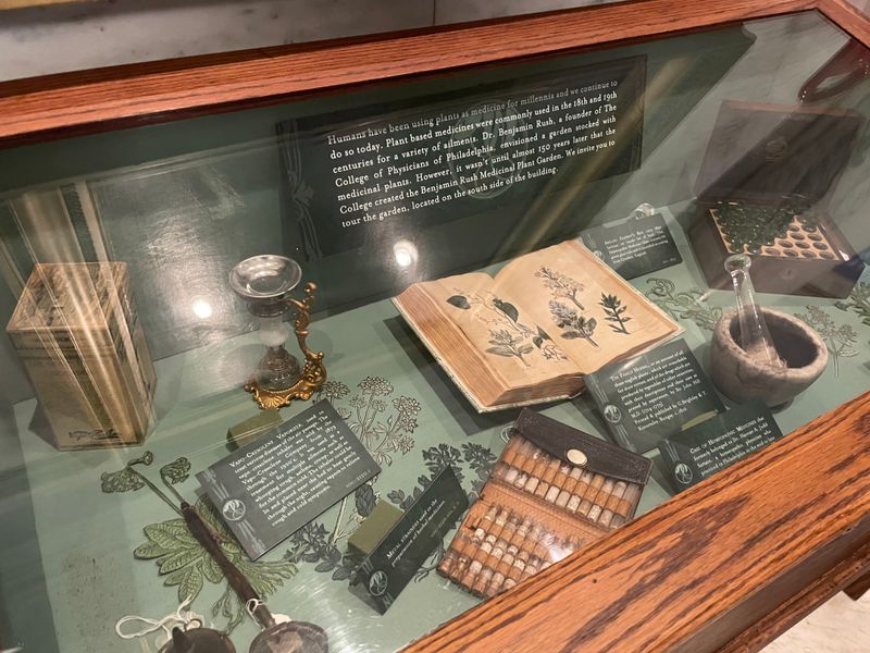 Medical Instruments Look Like Torture Devices