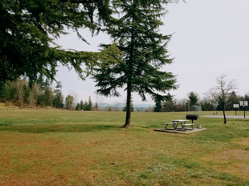 The Soccer Arena and Big Green Field