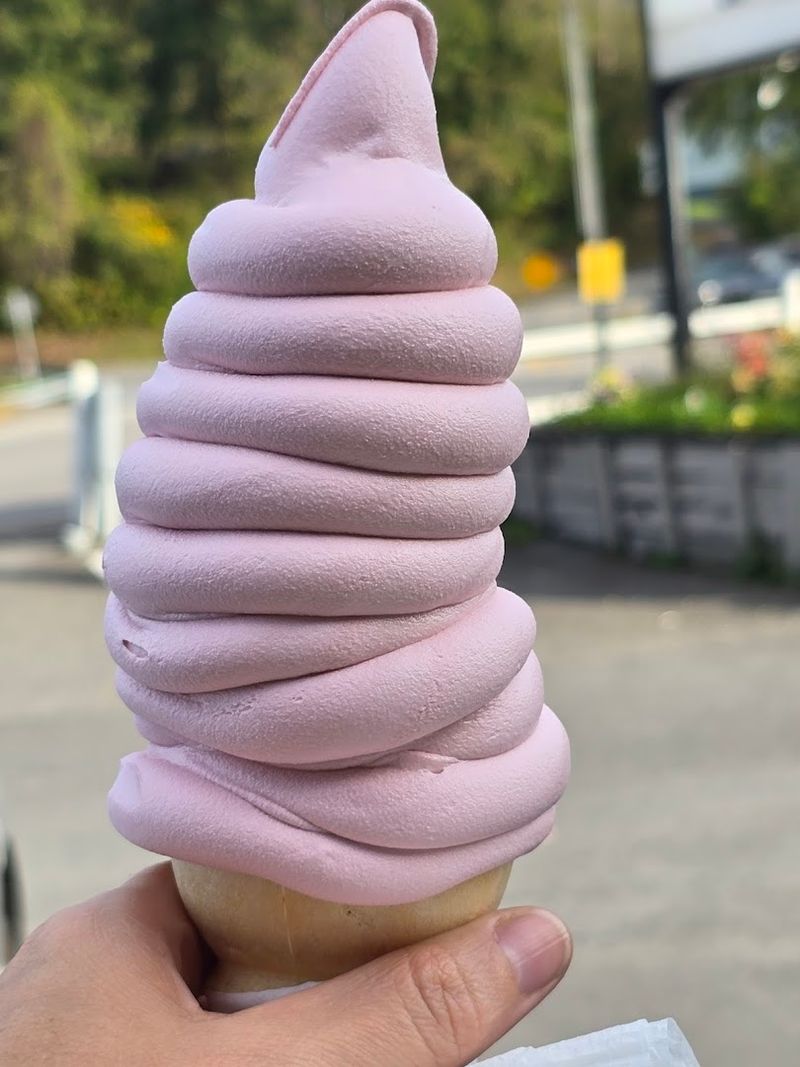The Soft-Serve Cones That Broke The Scale The Soft-Serve Cones That Broke The Scale