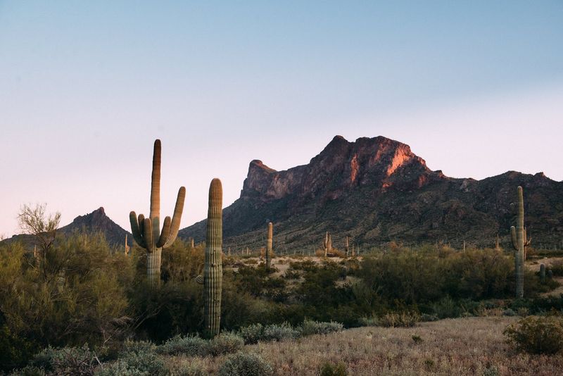 The Sonoran Desert Setting That Makes It All Work