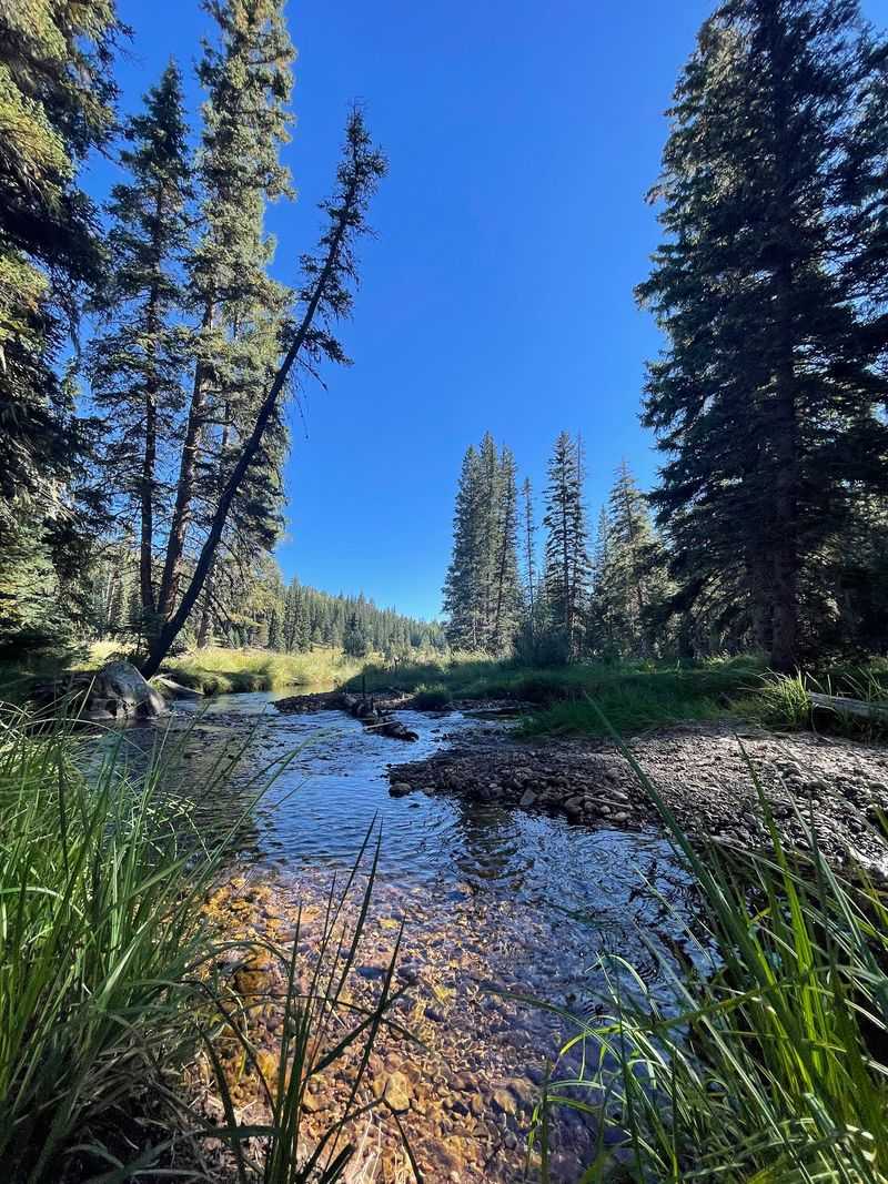 The Sound That Echoes Through Fall Mornings