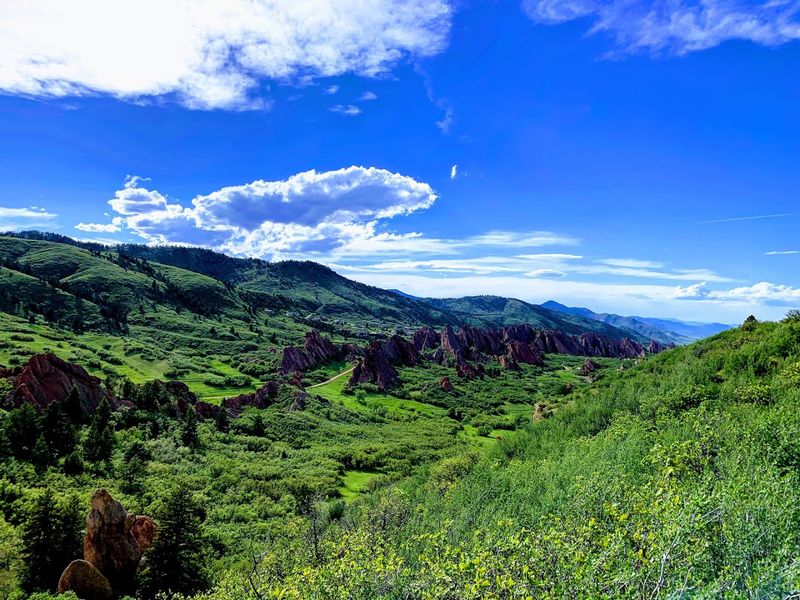 Wildflowers and Seasonal Color That Change the Park Entirely