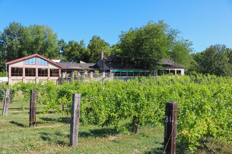 Tabor Hill Winery & Restaurant, Buchanan
