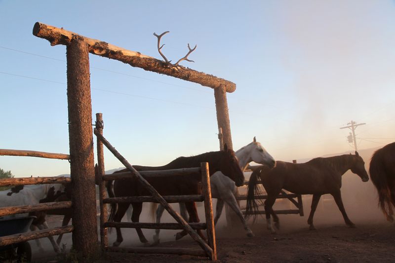 Winter Transforms the Whole Experience