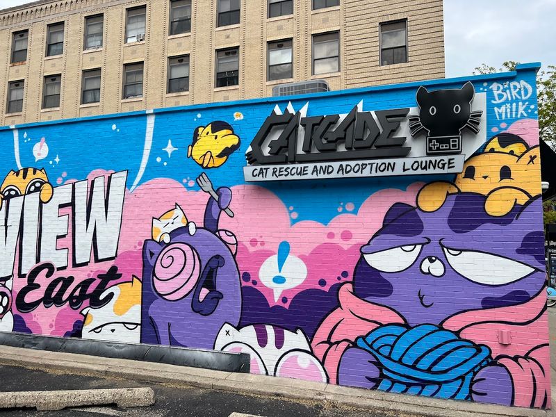 Merchandise Supports The Rescue Mission Directly