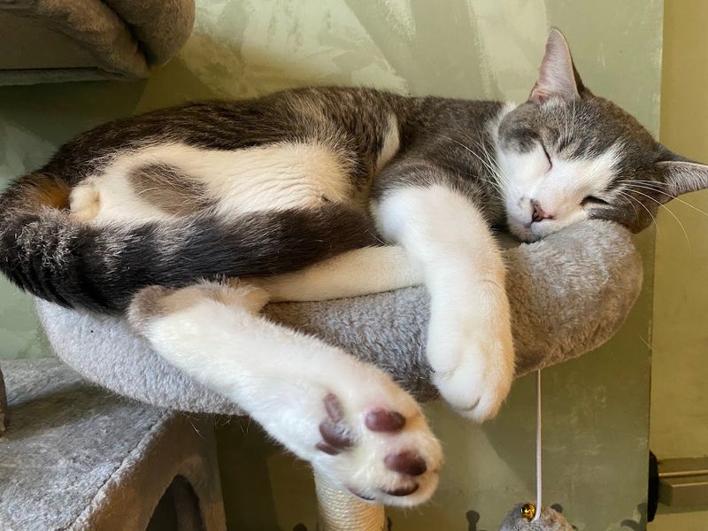 Operating Hours Fit A Variety Of Schedules