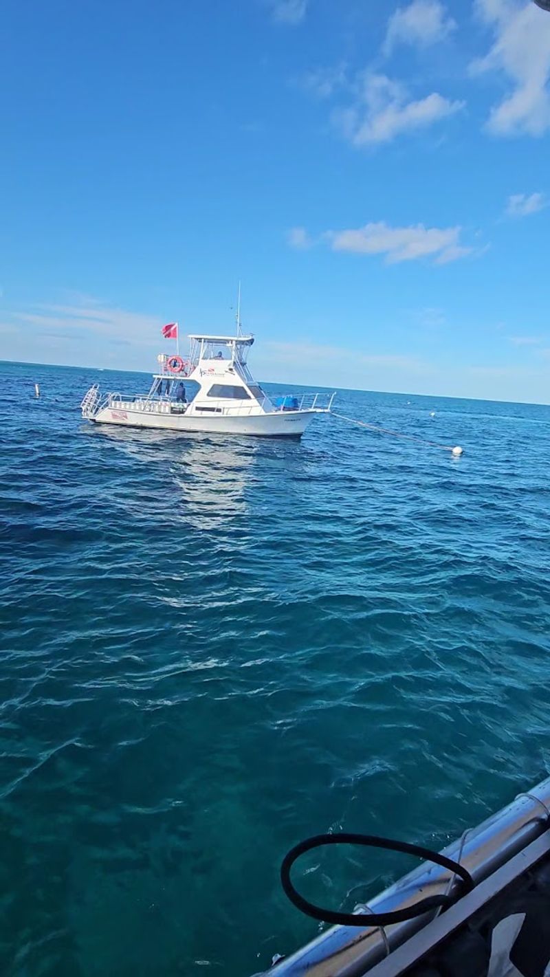 The Connection To Other Versions Of The Statue Worldwide