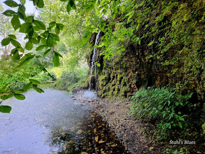The Splashy Spigot And Its Jug-Toting Regulars