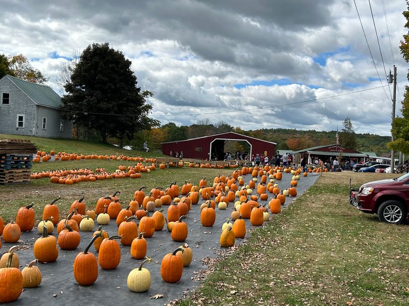 The Spooky Haunted Barn Attraction The Spooky Haunted Barn Attraction