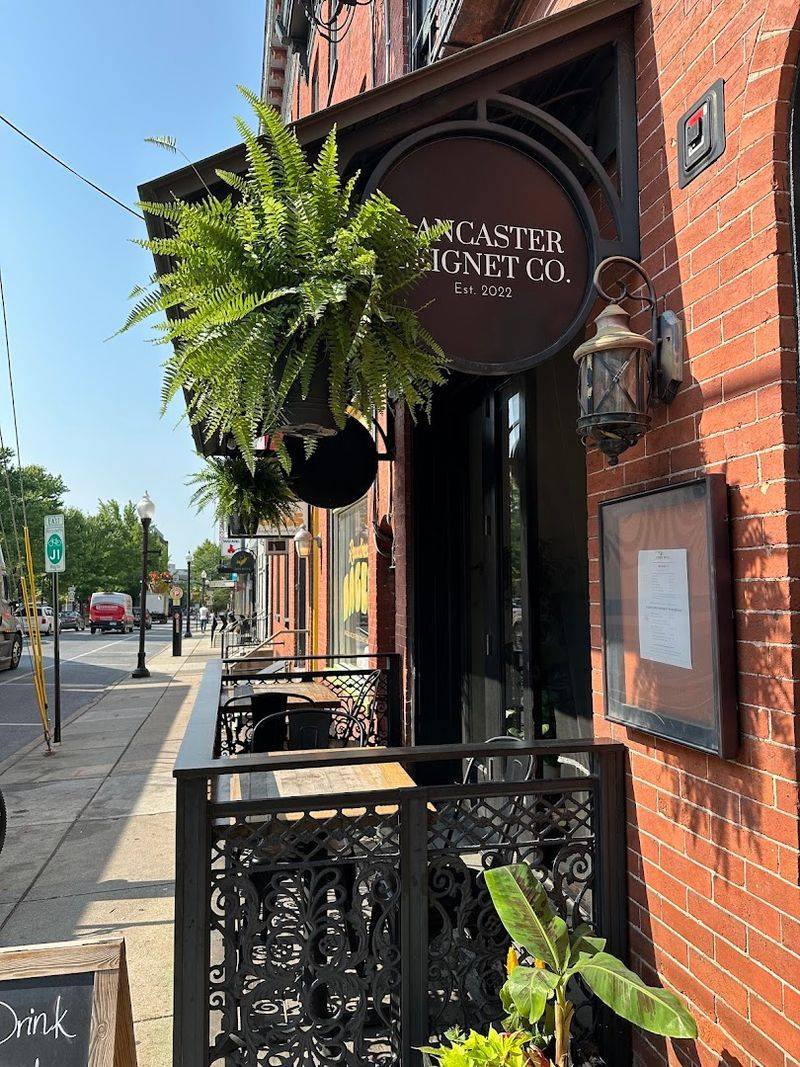 The Cafe Is Dog-Friendly And Has A Little Something For Everyone