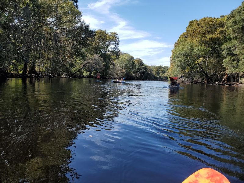 Kayaking The Spring Run Toward The Santa Fe River